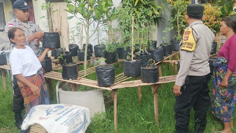 Pemberdayaan Wanita Tani di Sekotong, Bangkitkan Ketahanan Pangan