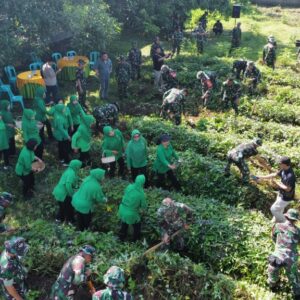 Panen Raya Kodim 1606: Sinergi TNI dan Petani Lokal 