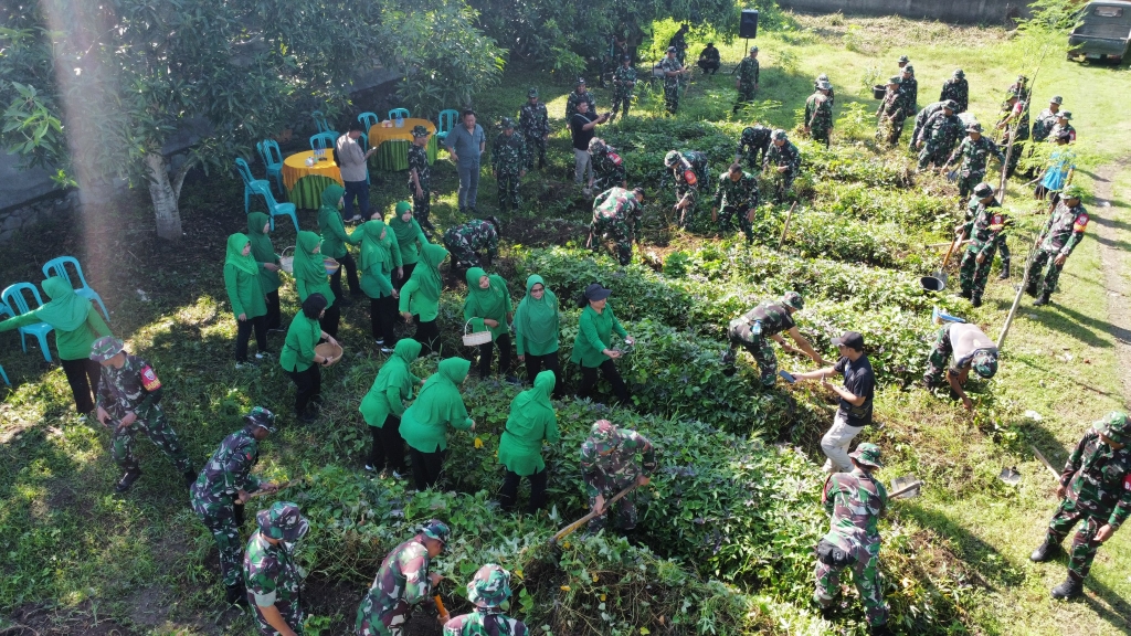 Panen Raya Kodim 1606: Sinergi TNI dan Petani Lokal 