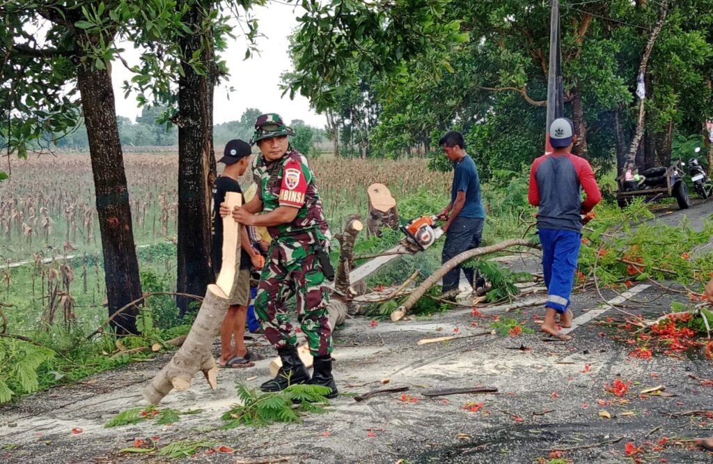 Babinsa dan BPBD Gerak Cepat Atasi Pohon Tumbang