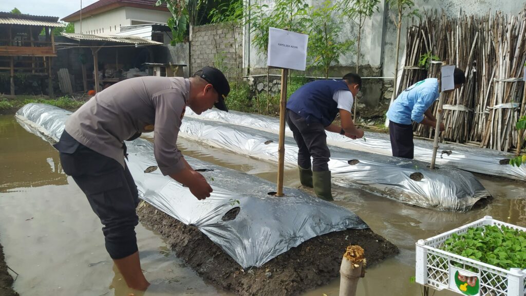 Inisiatif Pangan Bergizi di Desa Jagarga Indah Solusi Ketahanan Pangan yang Berkelanjutan