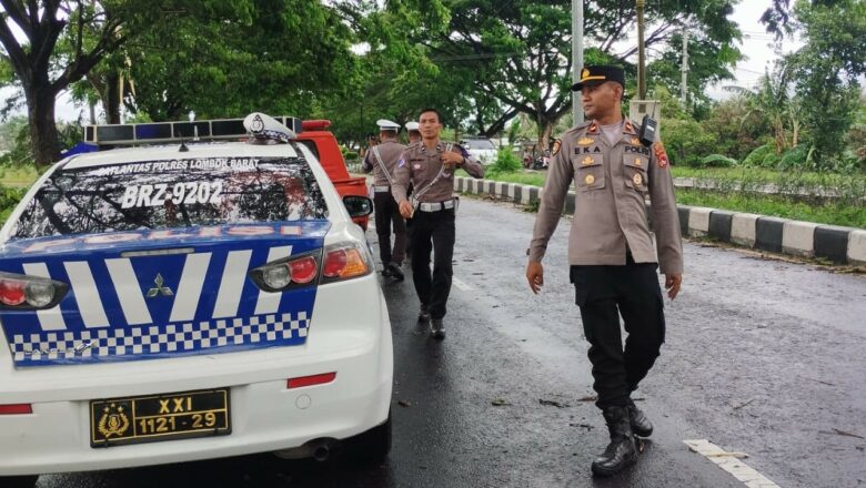 Cuaca Ekstrem Lombok Barat: Pohon Tumbang Ganggu Lalu Lintas di Kuripan