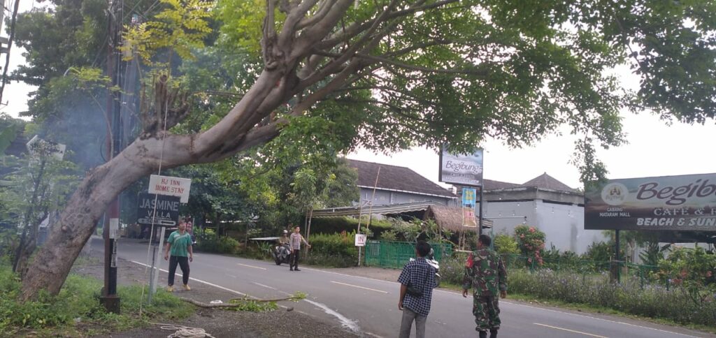 Antisipasi Bahaya, Polsek Batulayar Pangkas Pohon Rawan Tumbang