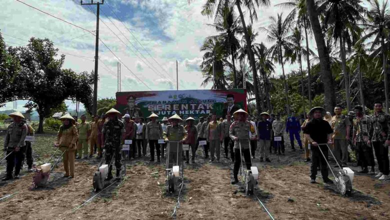 Sinergi Polri-Kementan: Gerakan Tanam Jagung 1 Juta Hektar Dimulai di Lombok Barat