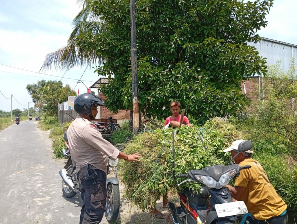 Bhabinkamtibmas Merembu Dukung Ketahanan Pangan, Warga Semangat!