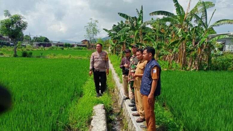 Sinergi Bhabinkamtibmas & PPL: Optimalkan Lahan Kosong untuk Pertanian