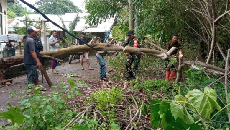 Babinsa dan Warga Segara Katon Gotong Royong Bersihkan Pohon Tumbang