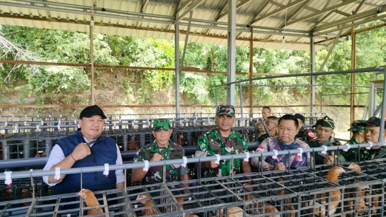 Dukung Ketahanan Pangan, Kodim 1606/Mataram Terima Bantuan Ayam Petelur