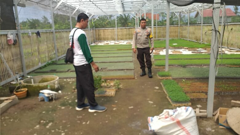 Inspiratif! Bhabinkamtibmas di Lombok Barat Sosialisasi Ketahanan Pangan Lewat Pekarangan Rumah