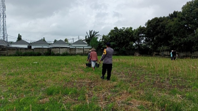 Dukung Ketahanan Pangan, Polsek Labuapi Aktif Sambangi Petani