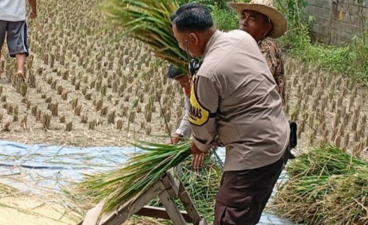 Bhabinkamtibmas Merembu Edukasi Warga Soal Ketahanan Pangan