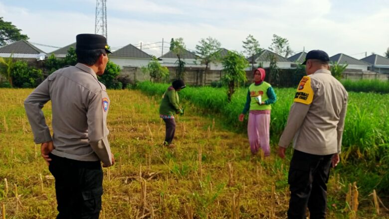 Sinergi Polisi dan Warga: Sukseskan Program Ketahanan Pangan