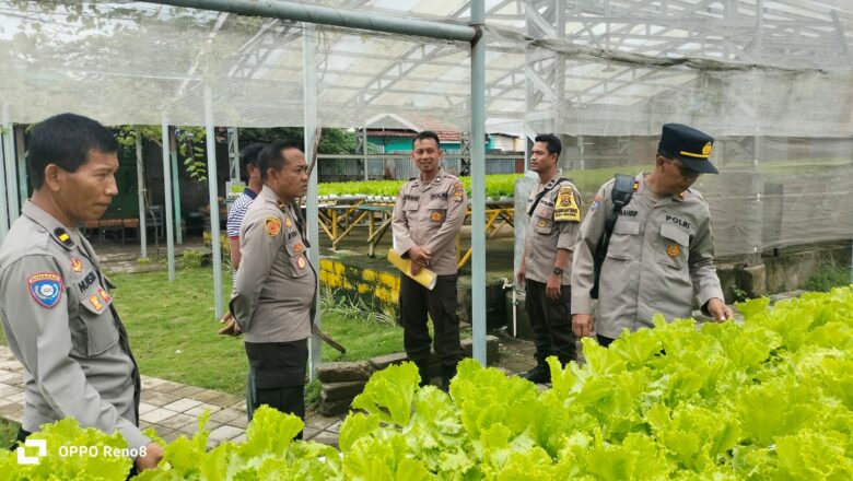 P2B di Labuapi: Kolaborasi Polisi, Pemuda Tani, dan Yayasan Pendidikan Tingkatkan Gizi Masyarakat