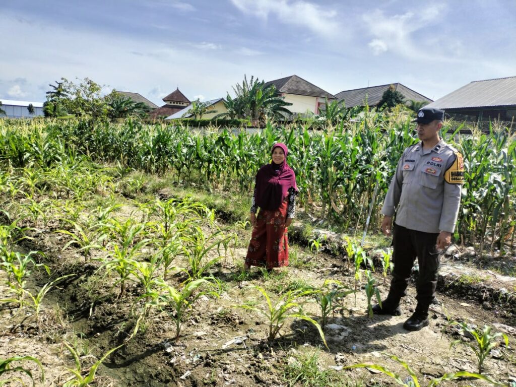 Sinergi Polri dan Petani, Lahan Kosong Jadi Lumbung Pangan di Labuapi