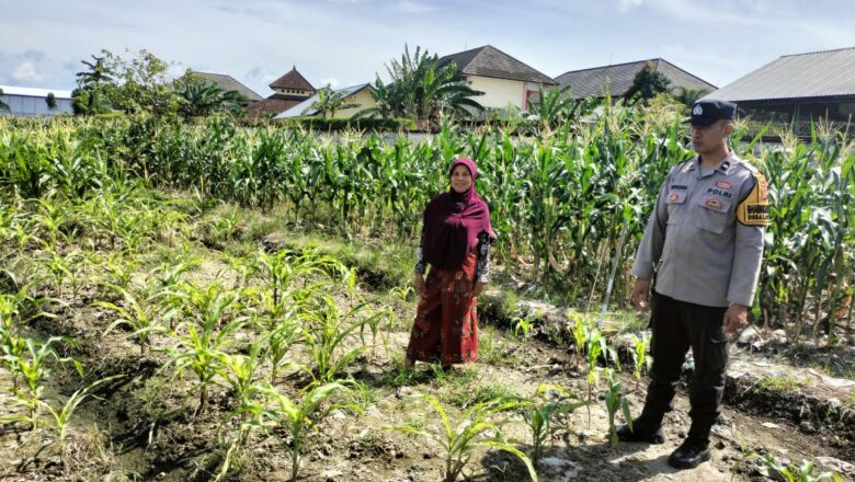 Kapolsek Labuapi Ajak Petani Maksimalkan Lahan untuk Ketahanan Pangan