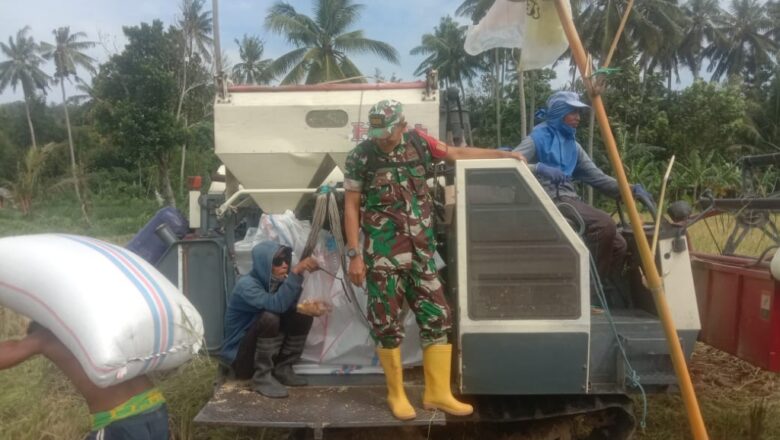 Program Ketahanan Pangan: Babinsa Dukung Petani di Batulayar 