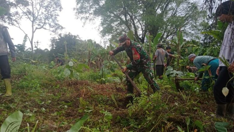 Hijaukan Desa! Babinsa Selelos dan Mahasiswa KKN Tanam Pohon 