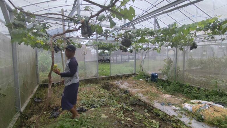 Inspirasi Lombok Barat: Pekarangan Jadi Sumber Gizi, Polisi Apresiasi Warga