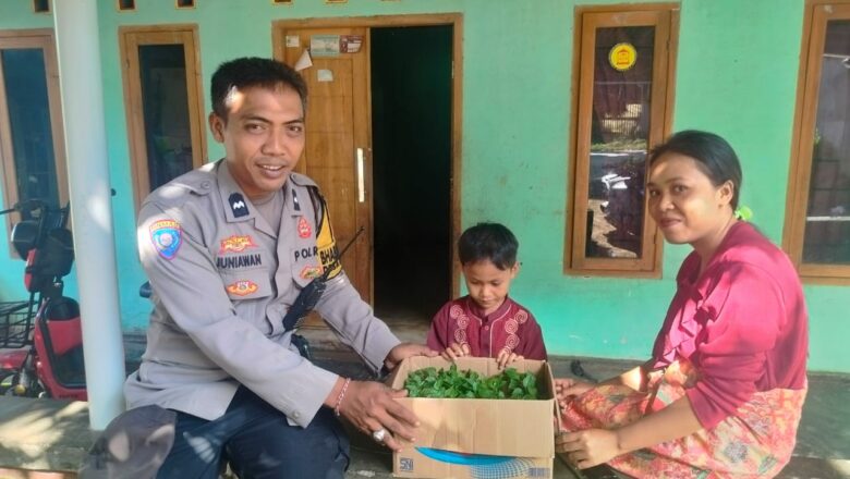 Polisi Peduli: Bhabinkamtibmas Bantu Warga Manfaatkan Pekarangan