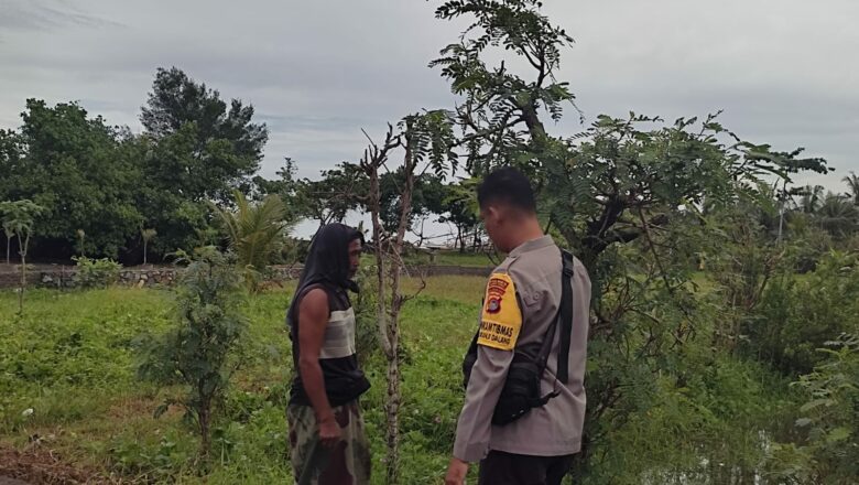 Polri Dukung Ketahanan Pangan, Bhabinkamtibmas Terjun ke Sawah
