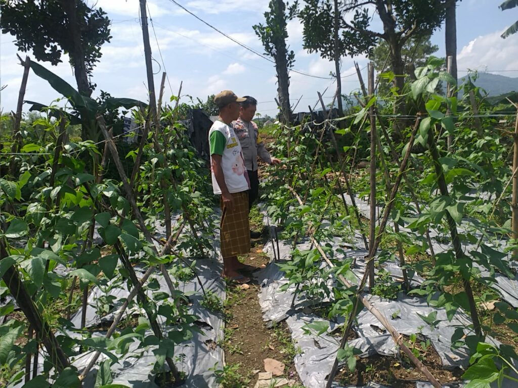 Bhabinkamtibmas Jagaraga Dorong Warga Tanam Sayur di Pekarangan Rumah