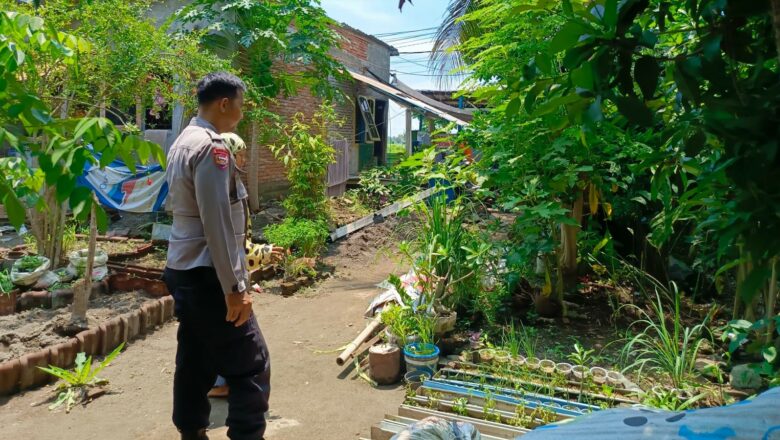 Polisi Ajak Warga Manfaatkan Pekarangan Jadi Sumber Pangan di Desa Perampuan