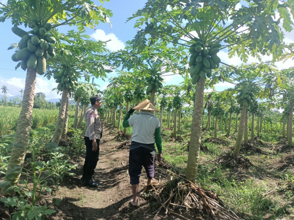 Bhabinkamtibmas Ombe Baru Bantu Warga Optimalkan Lahan Pertanian di Kediri