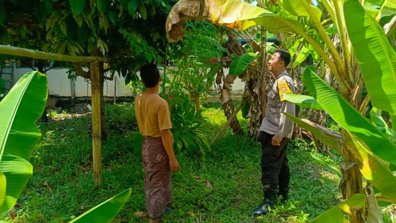 Sinergi Bhabinkamtibmas & Warga: Pekarangan Rumah Jadi Sumber Gizi