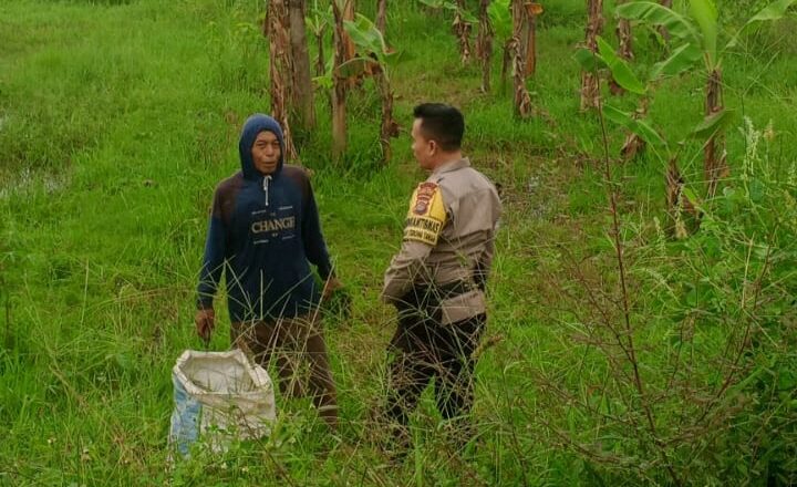 Sinergi Polisi & Petani: Pastikan Harga Beras Stabil