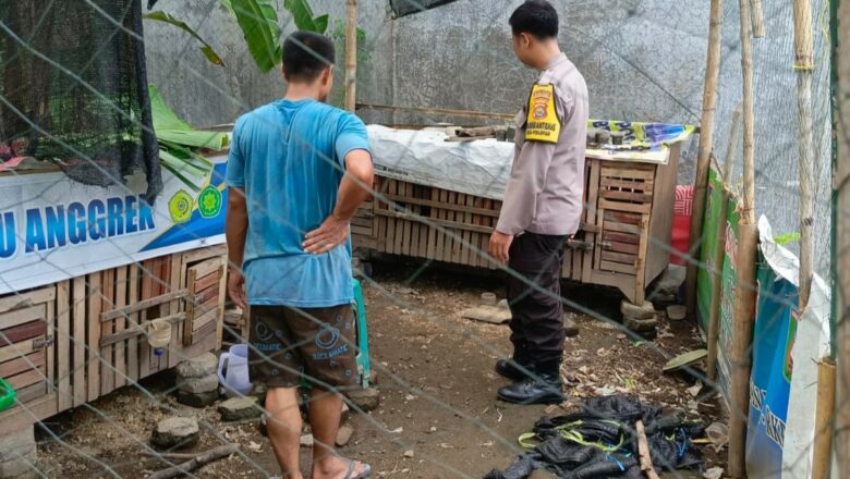 Inovasi Bhabinkamtibmas: Sukseskan Ketahanan Pangan dari Pekarangan Rumah