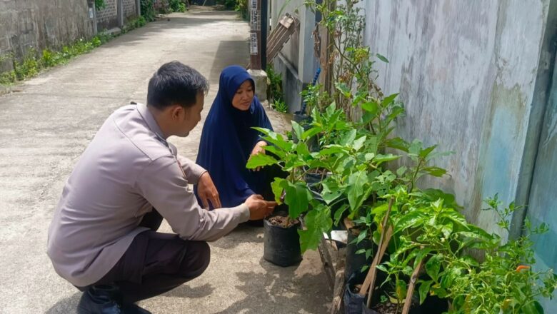 Kisah Inspiratif: Pekarangan ‘Disulap’ Jadi Lumbung Pangan oleh Warga Lombok Barat