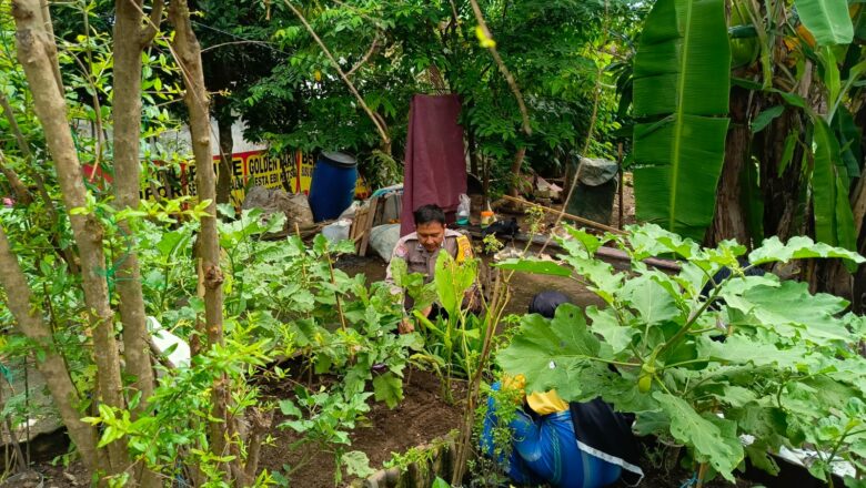 Bhabinkamtibmas Dorong Warga Tanam Sayur, Pekarangan Jadi Sumber Pangan