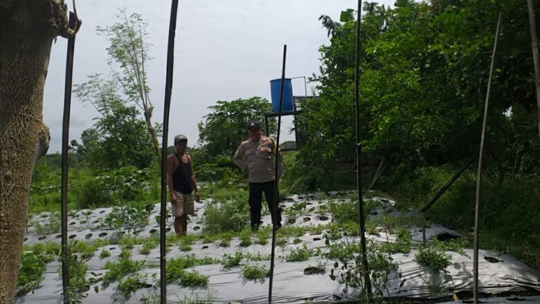 Polisi Ajak Warga Manfaatkan Pekarangan Demi Ketahanan Pangan