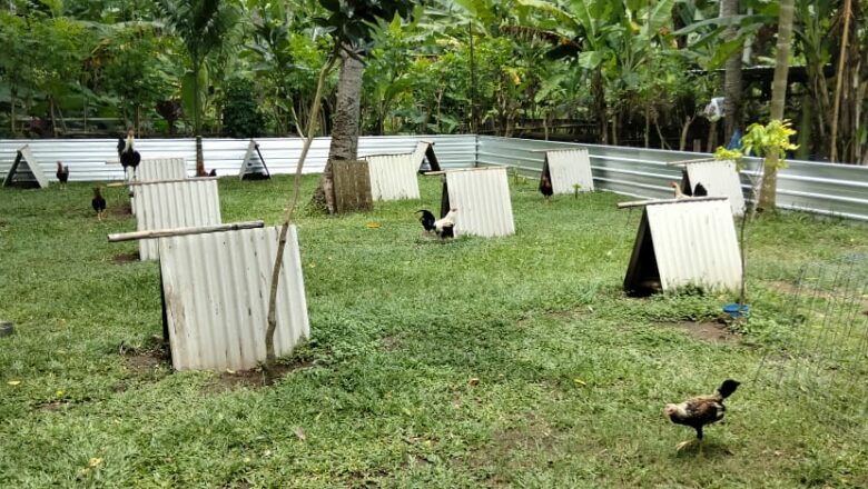 Dedikasi Polsek Batulayar: Wujud Nyata Keamanan Masyarakat