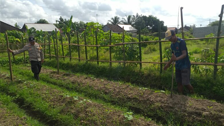 Warga Kuripan Antusias! Polisi Ajak Manfaatkan Lahan untuk Ketahanan Pangan