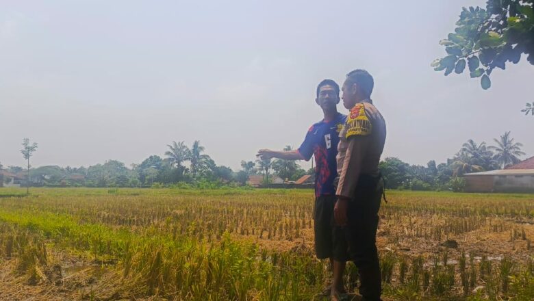 Polisi Aktif Edukasi Petani Lombok Barat, Program Swasembada Pangan Jadi Fokus