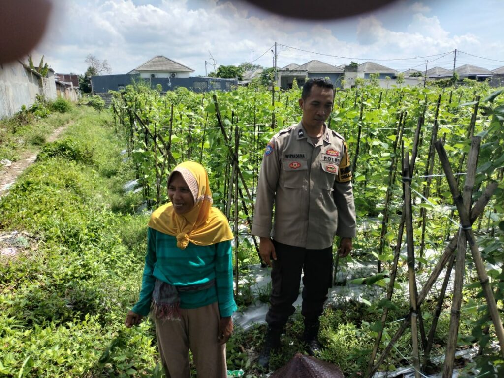 Sinergi Polri dan Petani, Bhabinkamtibmas Dorong Optimalisasi Lahan