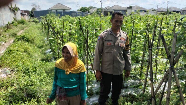 Dukung Ketahanan Pangan, Bhabinkamtibmas Sapa Petani di Labuapi