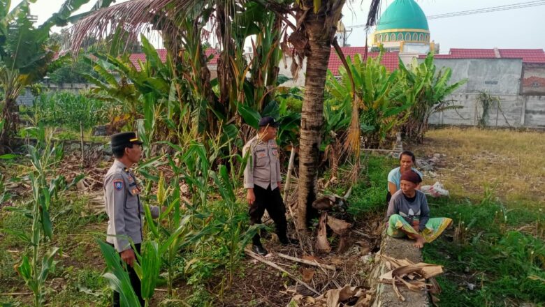 Sinergi Polri dan Petani: Polsek Labuapi Dukung Ketahanan Pangan