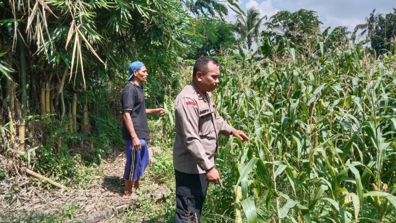 Sambang Petani, Polri Perkuat Swasembada Pangan di NTB