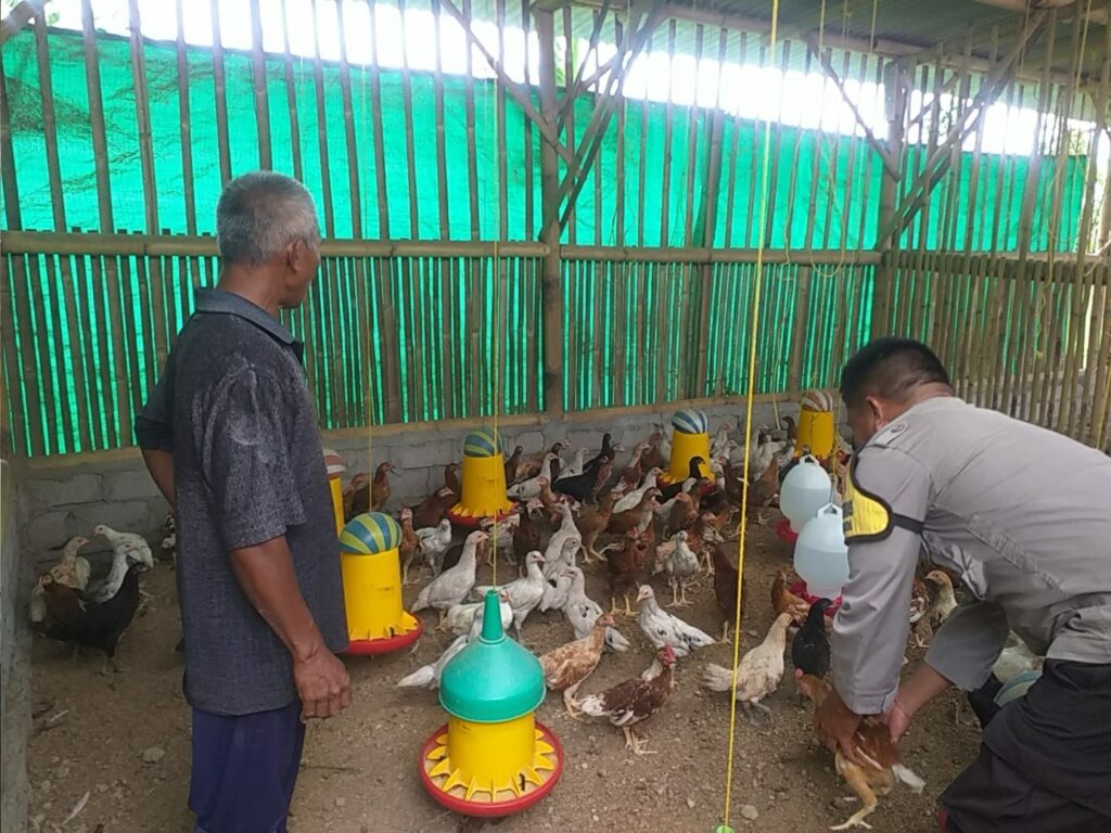 Kunjungi Peternak Ayam, Bhabinkamtibmas Sosialisasikan Ketahanan Pangan