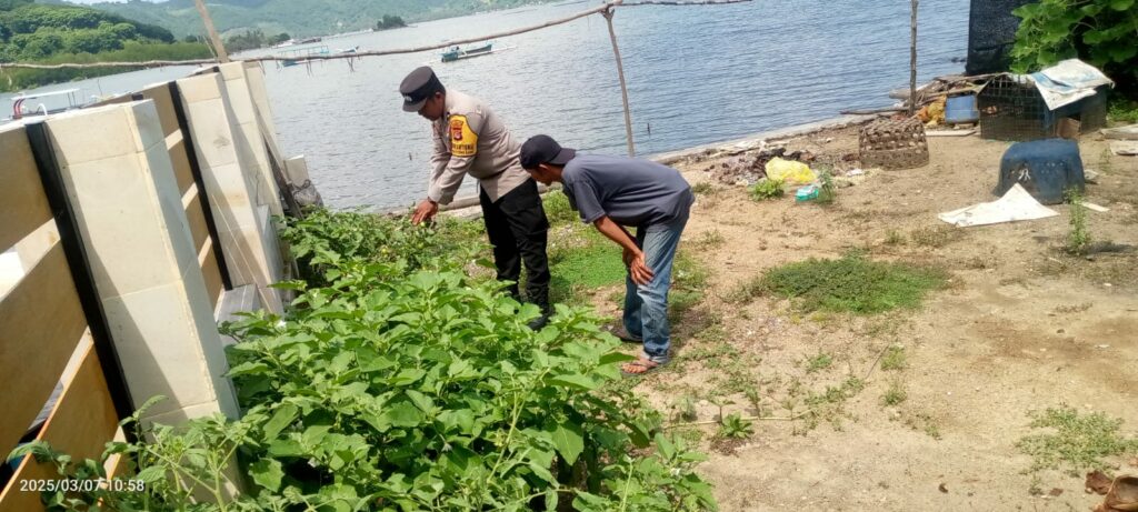 Sinergi Polri dan Warga: Kapolsek Sekotong Tinjau Pekarangan Bergizi