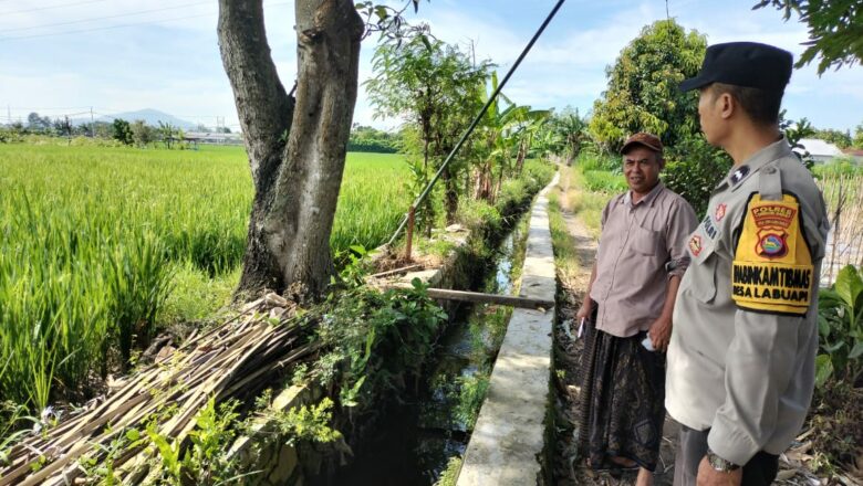 Sinergi Polri dan Petani: Dorong Ketahanan Pangan Desa