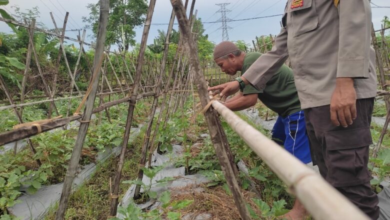 Sinergi Polri & Warga: Dorong Pertanian Demi Ketahanan Pangan