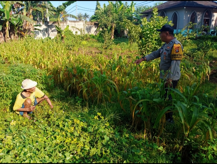 Bhabinkamtibmas Karang Bongkot Turun ke Sawah, Dukung Petani Maju!