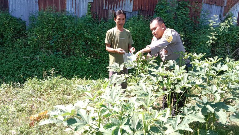 Petani Lombok Barat Semangat! Polisi Beri Motivasi Tingkatkan Produksi Jagung