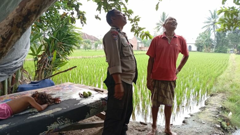 Desa Ini Buktikan, Polisi dan Petani Bisa Bersatu Ciptakan Swasembada