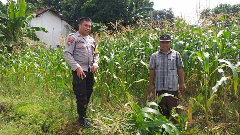 Sinergi Polisi dan Warga: Wujudkan Ketahanan Pangan di Lombok Barat