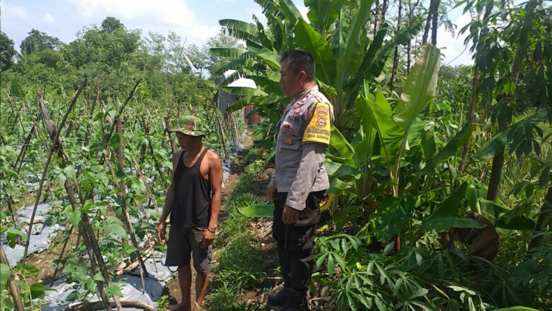 Polisi Turun ke Sawah, Ketahanan Pangan Makin Kuat