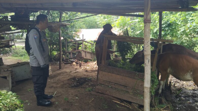 Sinergi Polri dan Masyarakat: Optimalisasi Lahan Pekarangan untuk Ketahanan Pangan